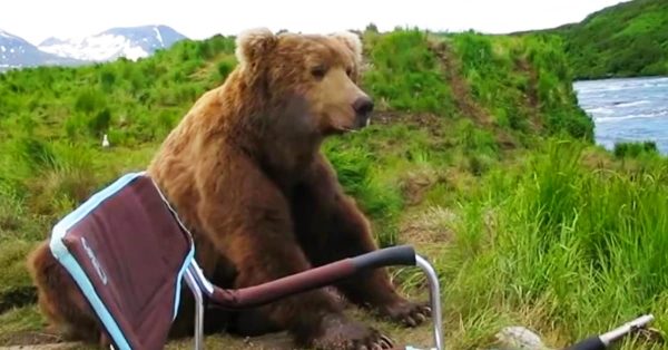 Bear casually sits next to man at river, then gives him the surprise of his life